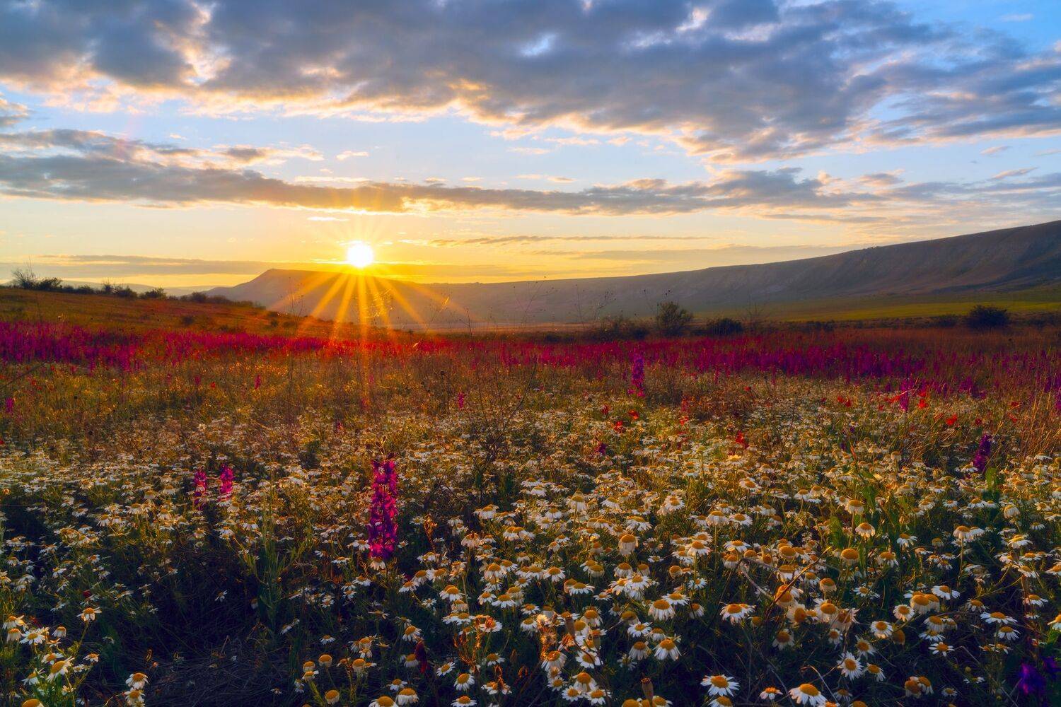 , Юлия Мальцева