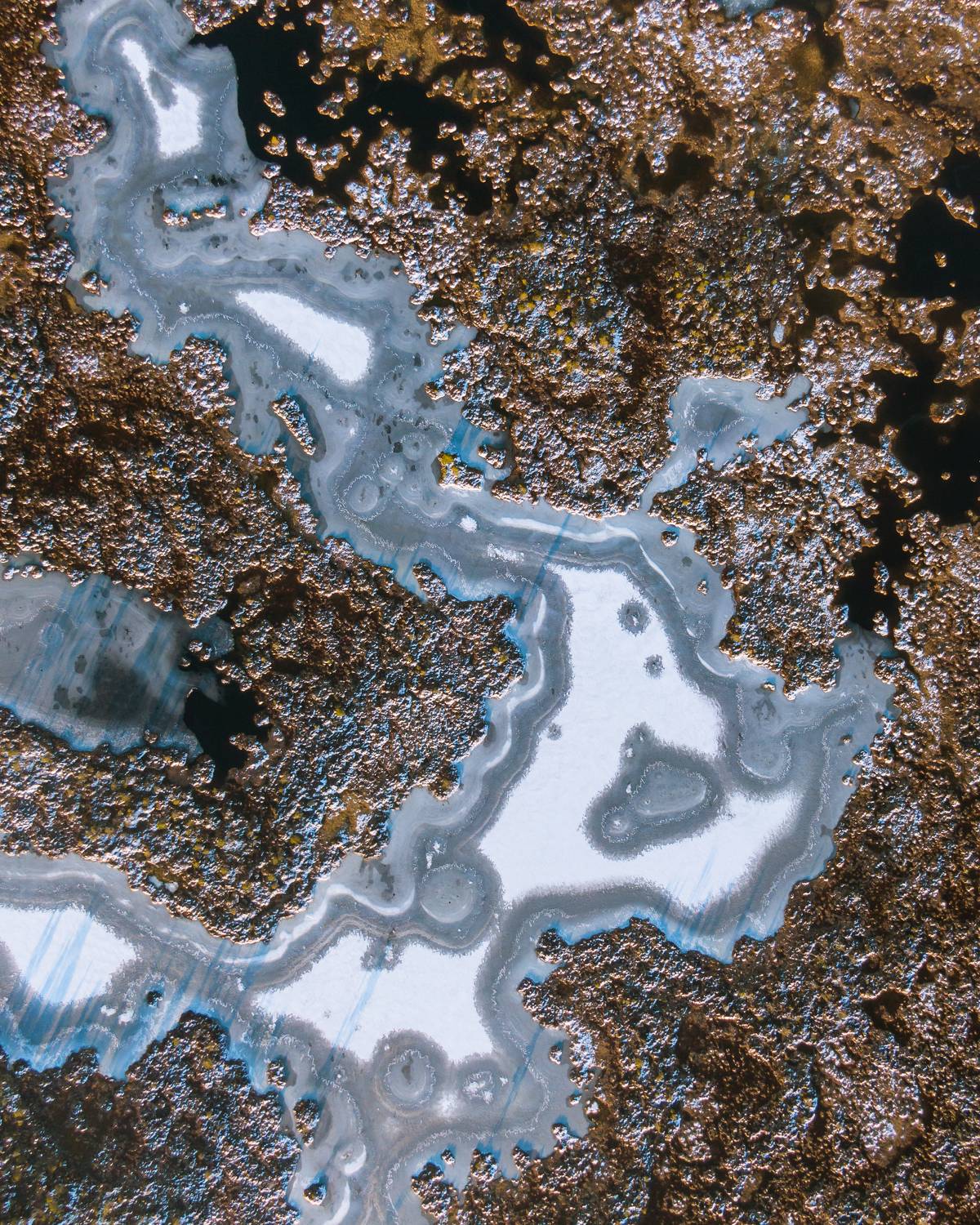 #harjumaa, #visitharjumaa, #k&otilde;nnusuursoo, #eesti, #estonia, #estoniabogs, #swamp, #eestirabad, #nature, #loodus, #eestiloodus, #ilusadeestipaigad, #visitestonia, #terviserajad, #hikingtrails, #nature_of_estonia, #dji, #droneoftheday, #dronephotography, #e, Nikolai Mordan