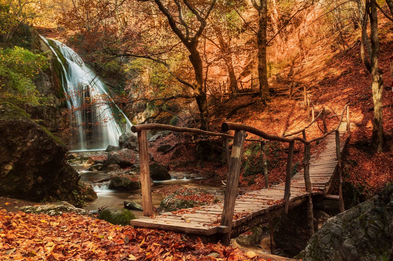 , Лариса Дука