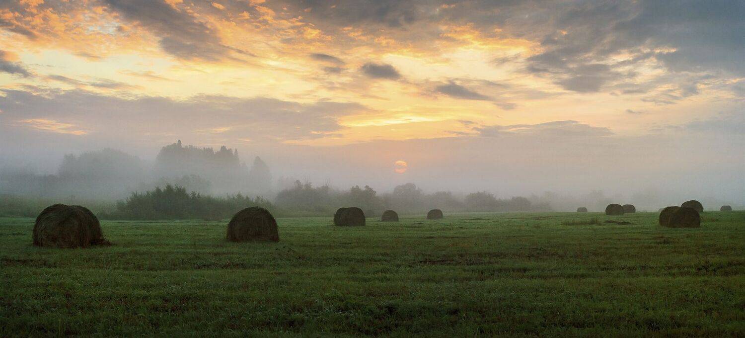 , Алексей Хахлов