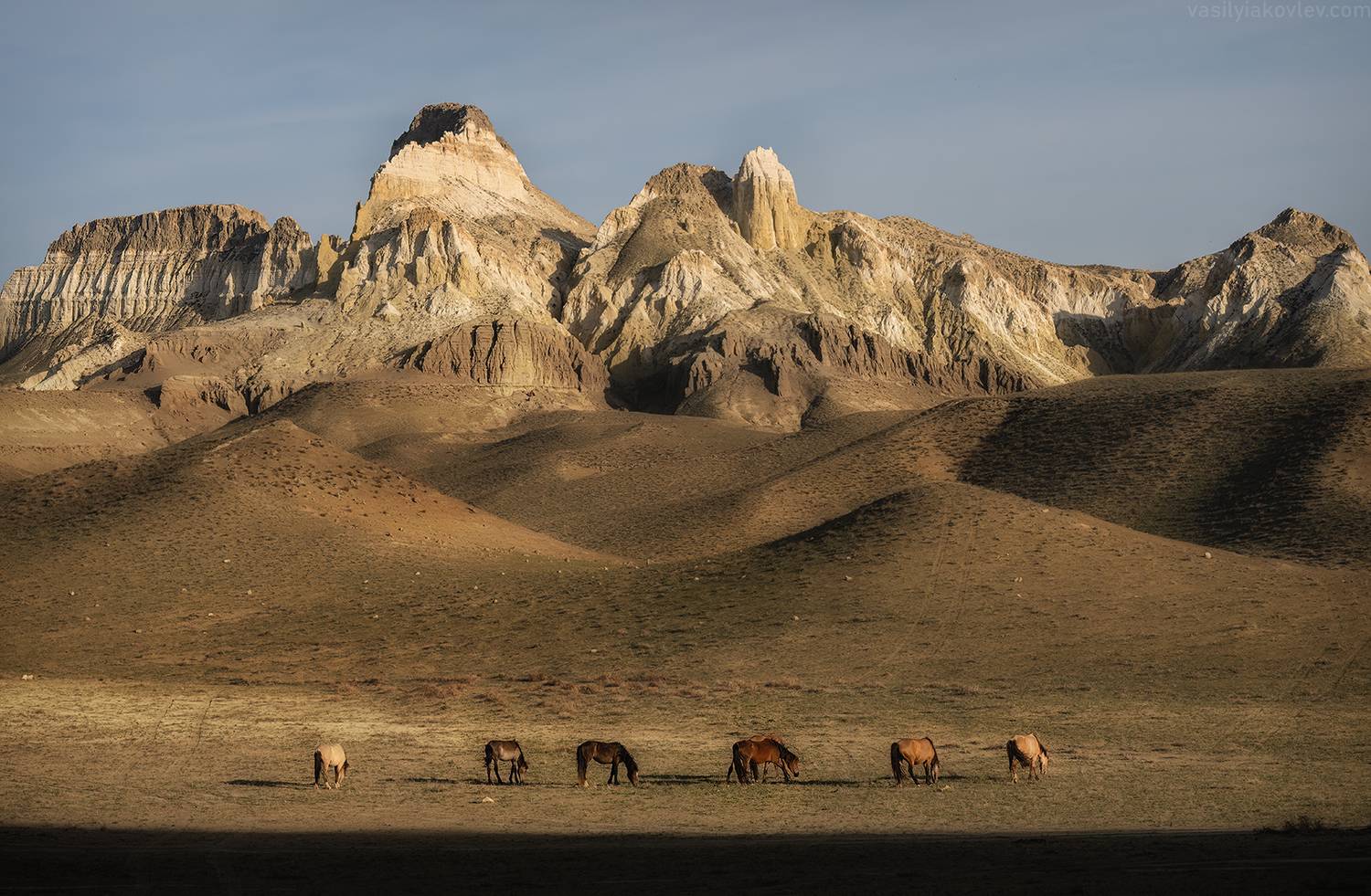 казахстан, фототур, яковлевфототур, мангистау, мангышлак, Василий Яковлев