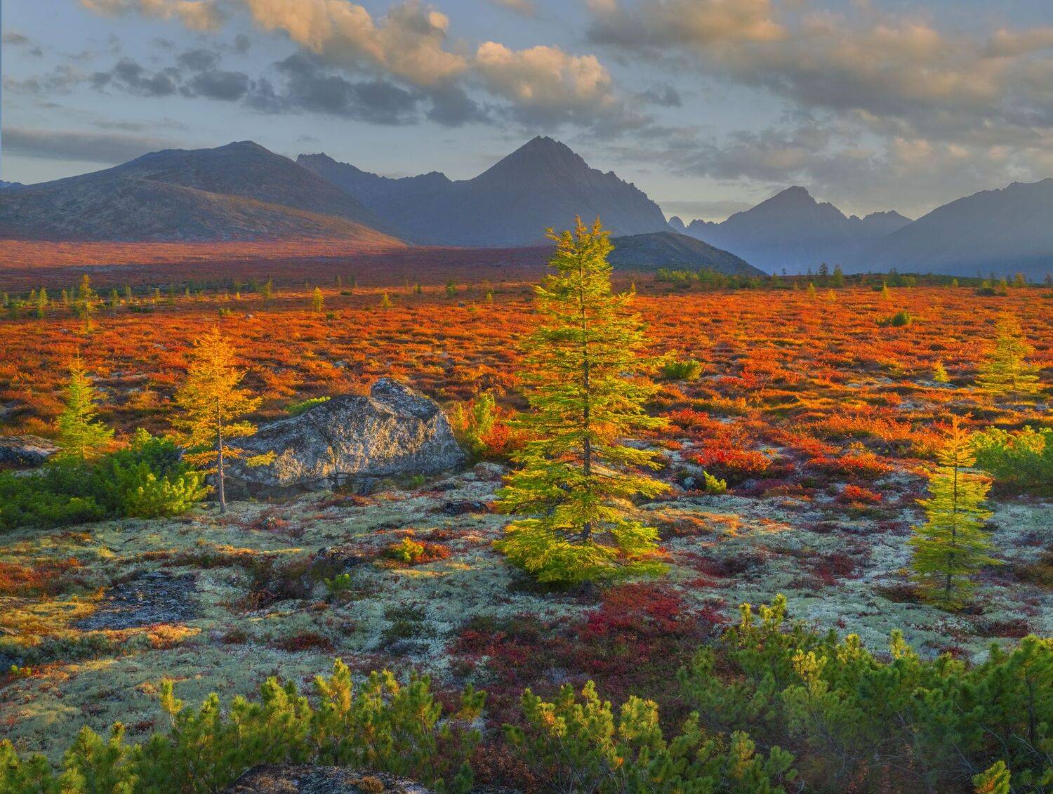 Фототуры с Владимиром Рябковым, #topnature #russpasibo #magic_shots #lovelyRussia #sunset_vision #exclusive_sky  #exclusive_shots #loves_russia2 #photoarena_nature #nature_sultans #nature_perfection #rsa_sky #rsa_sunset #photorussia #rsa_naturepics #sunse, Владимир Рябков