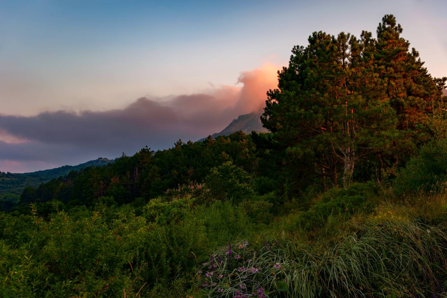 утро,август,природа,пейзаж,кмв, Елена Брежицкая
