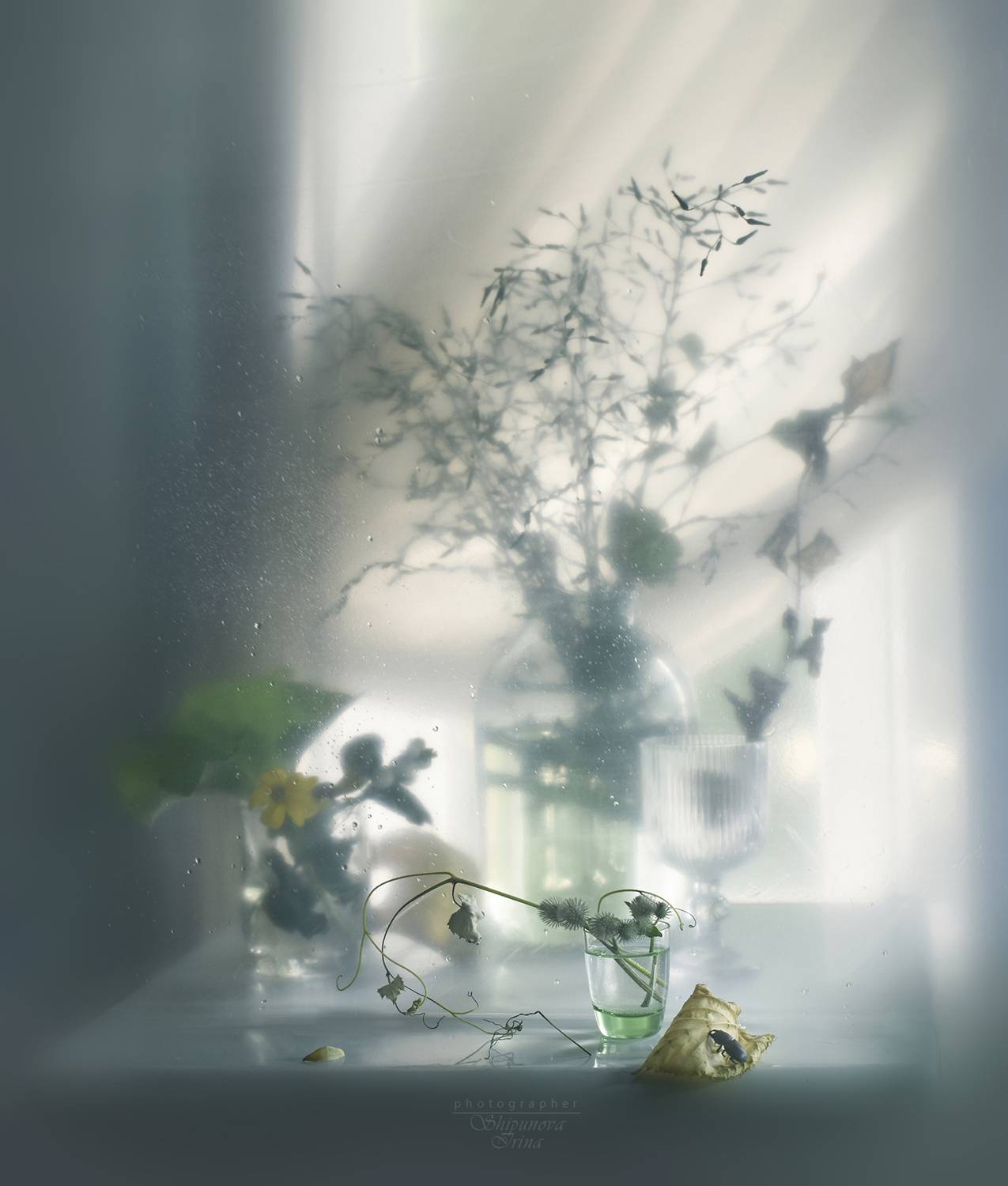 , Ирина Шипунова