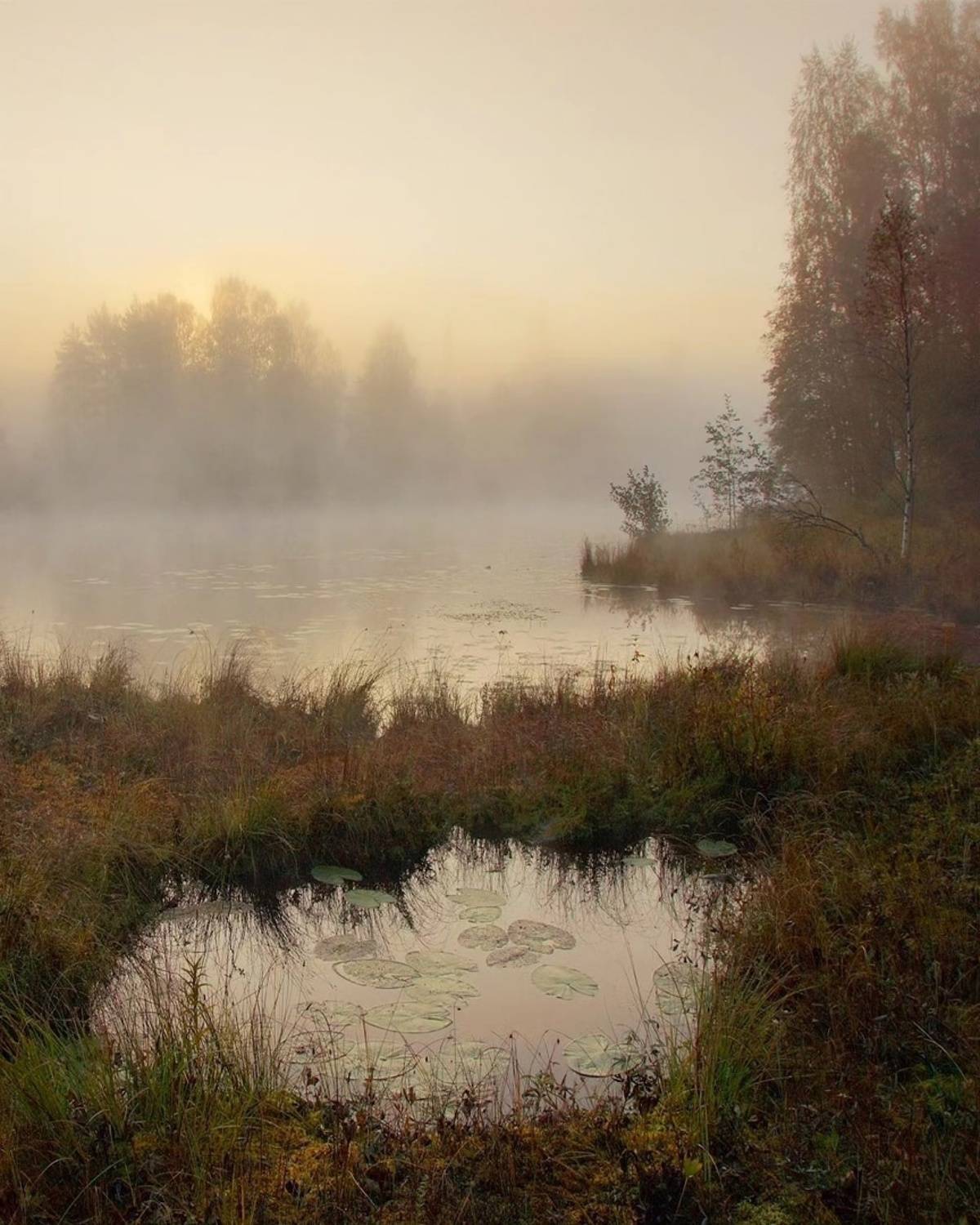 , Петр Косых