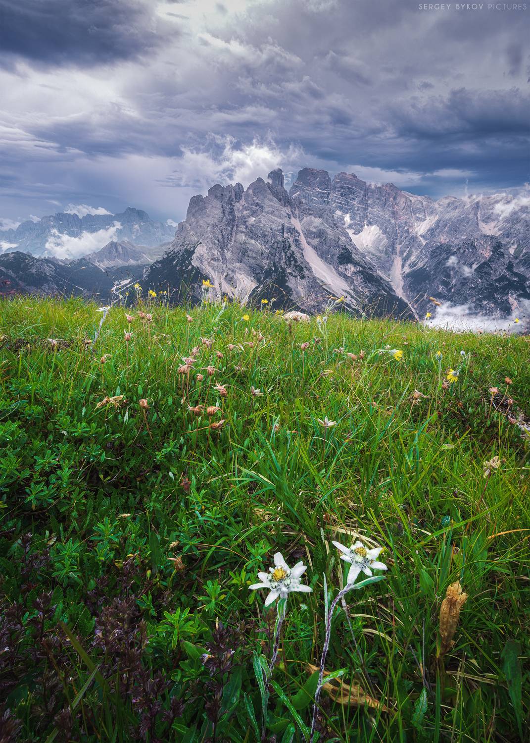 , Быков Сергей