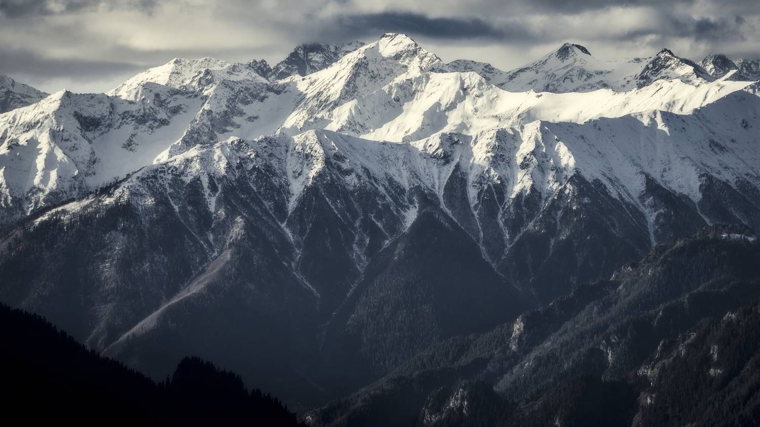 , Антон Литвин