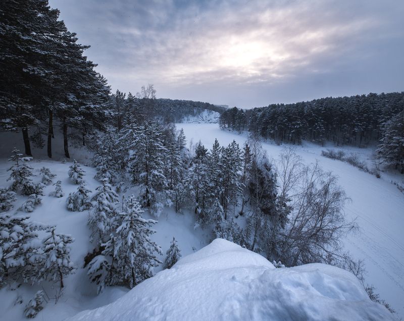 Утро в лесу фото превью