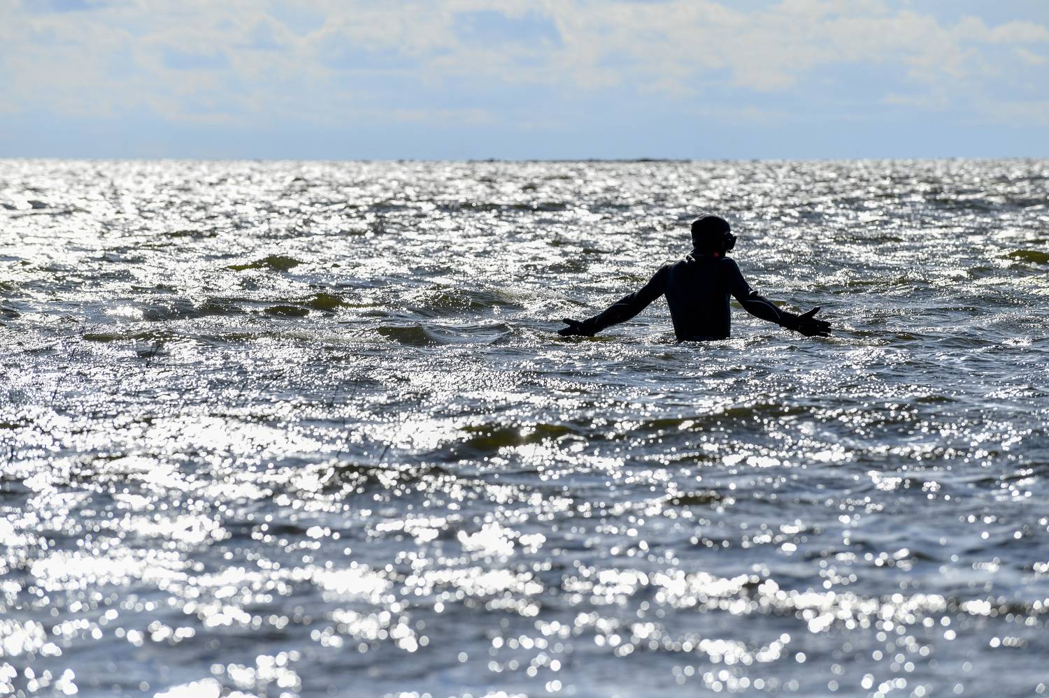 Жанр, Михаил Пшеннов