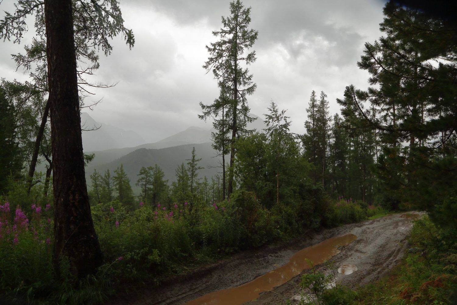 , Евгений Зинов