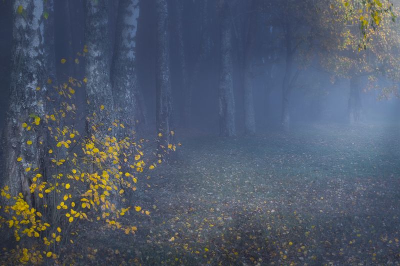 ******** фото превью