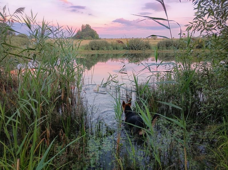 фото превью