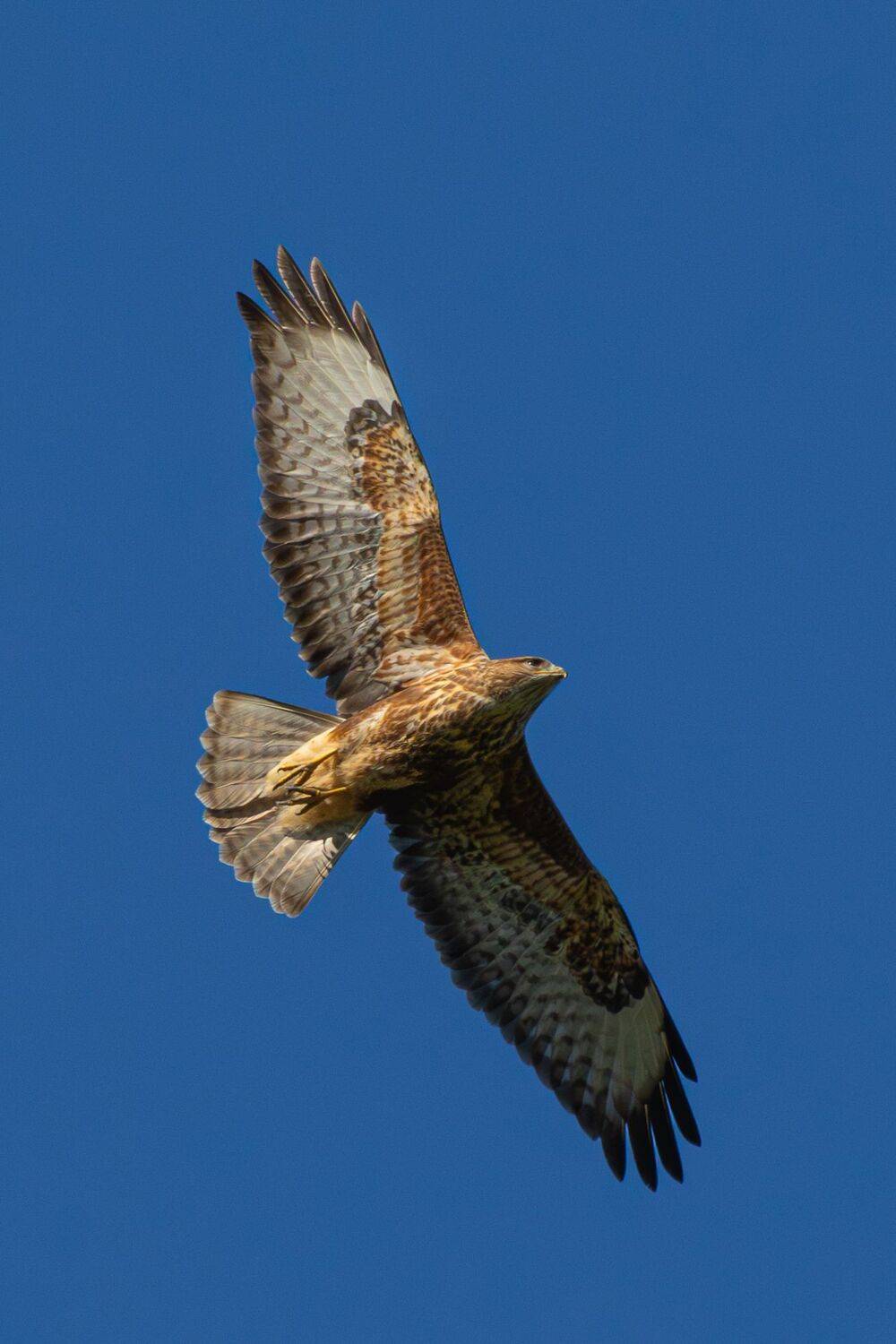 , Гильманов Артур