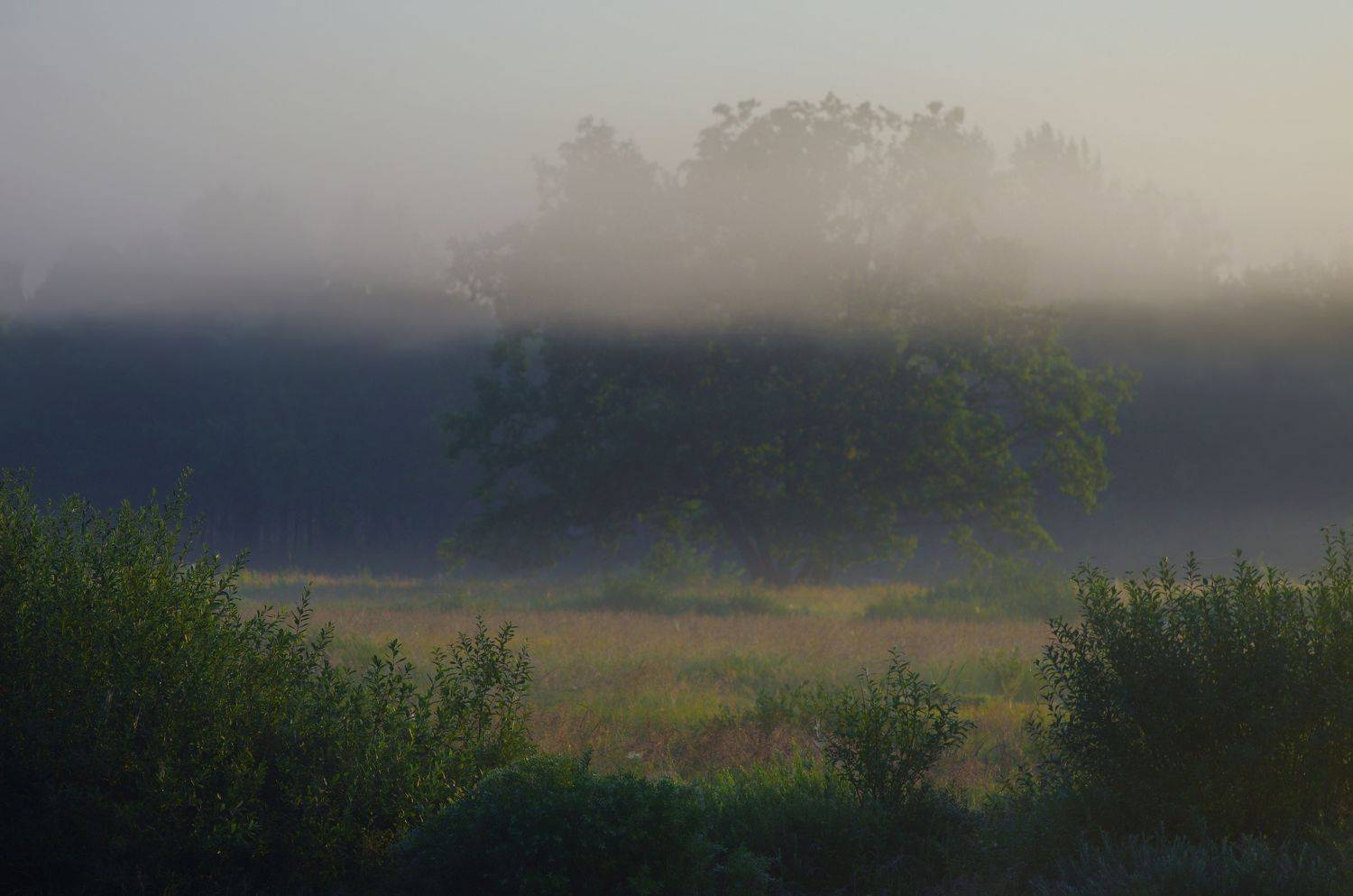 , Сергей Шляга