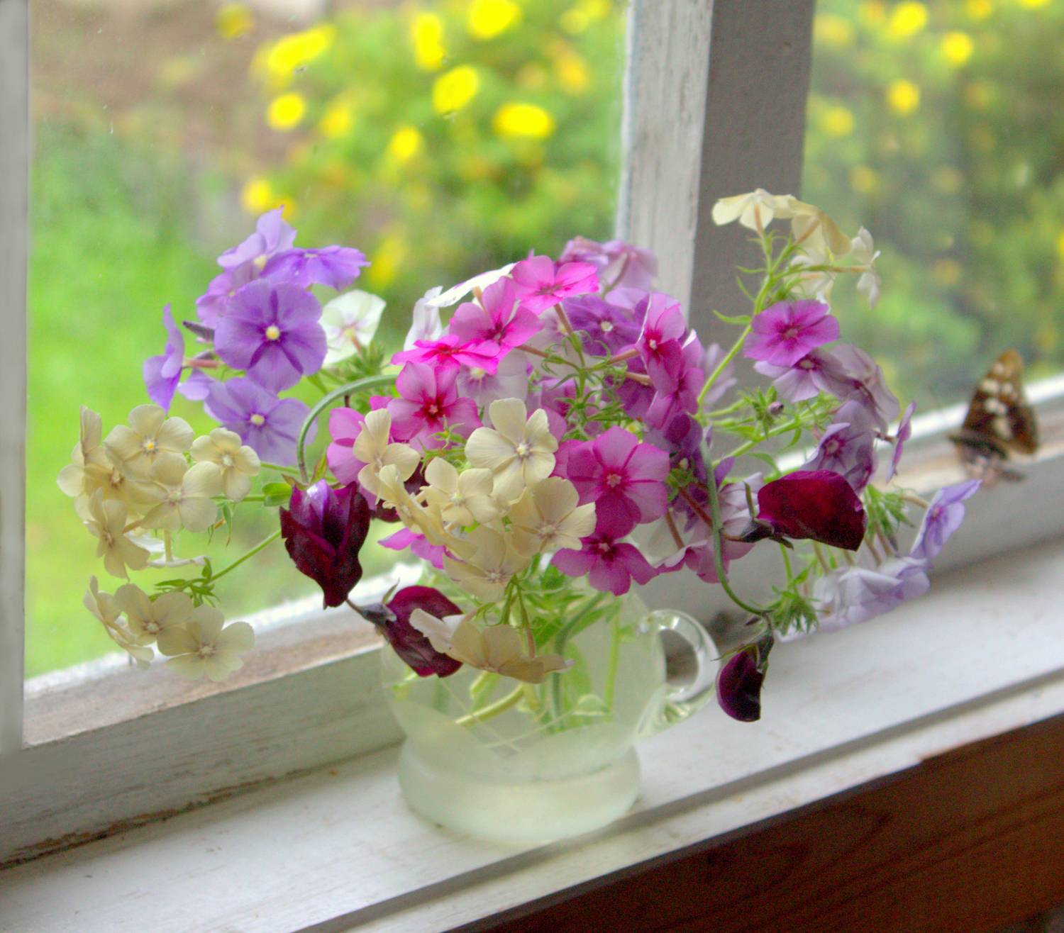 , Хохлова Наталья