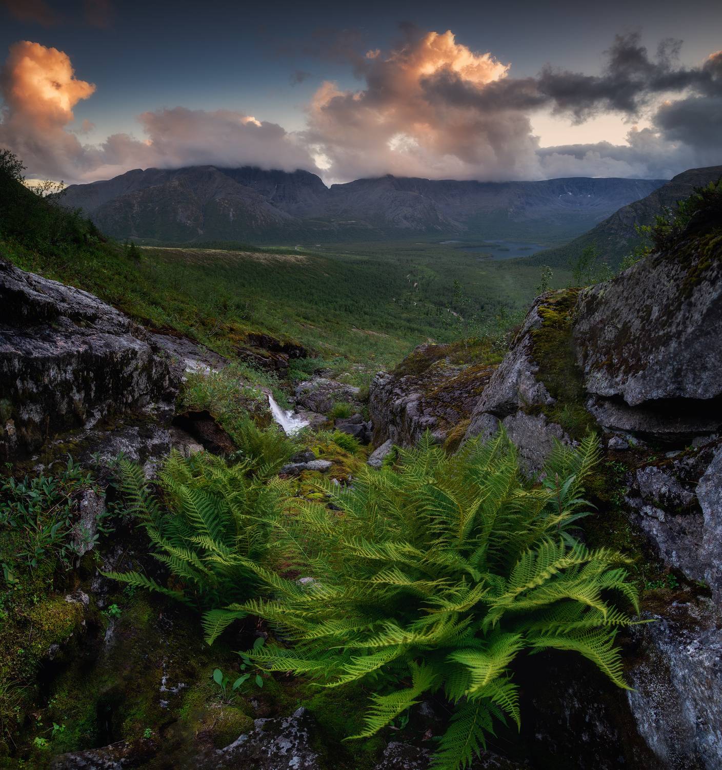 , Истомин Виталий