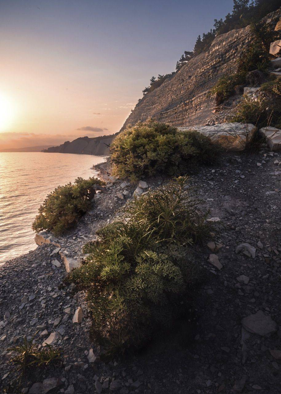 , Евгений Важенин