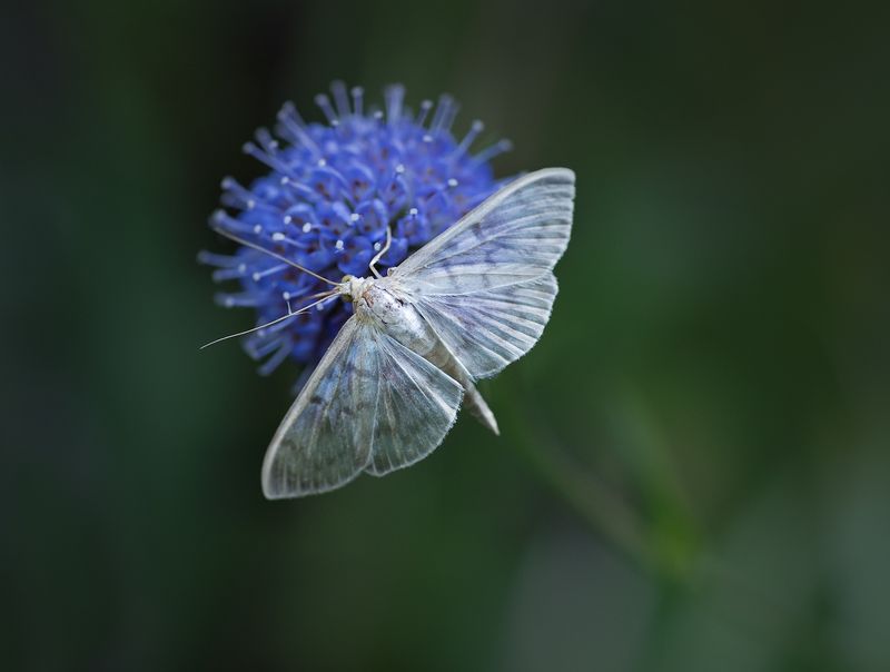 Вечерняя фото превью