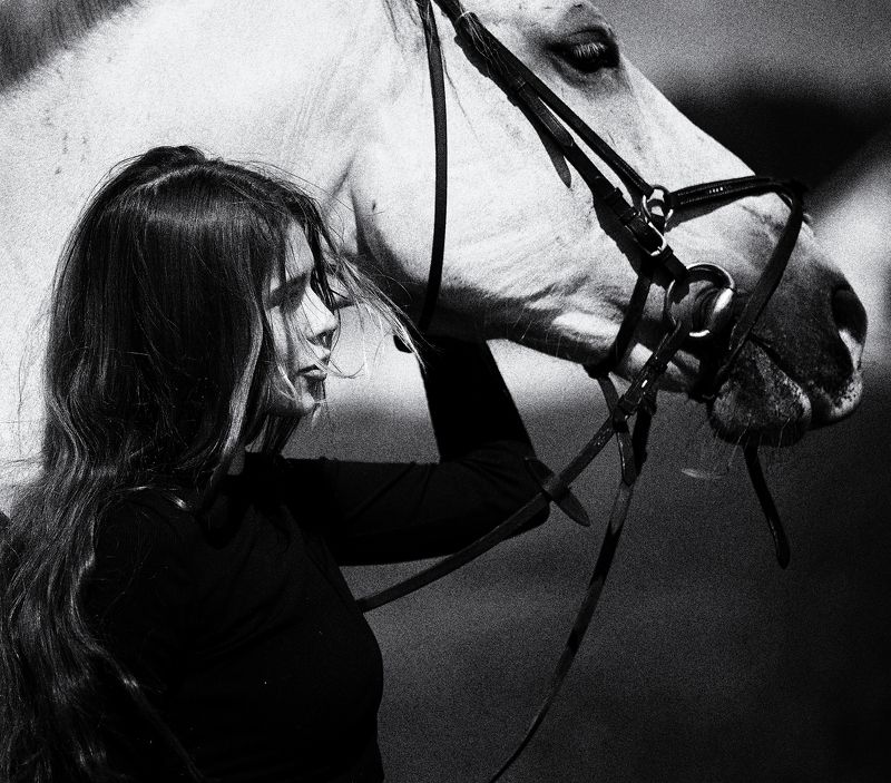 девушка и лошадь, белая лошадь София и Жорж фото превью