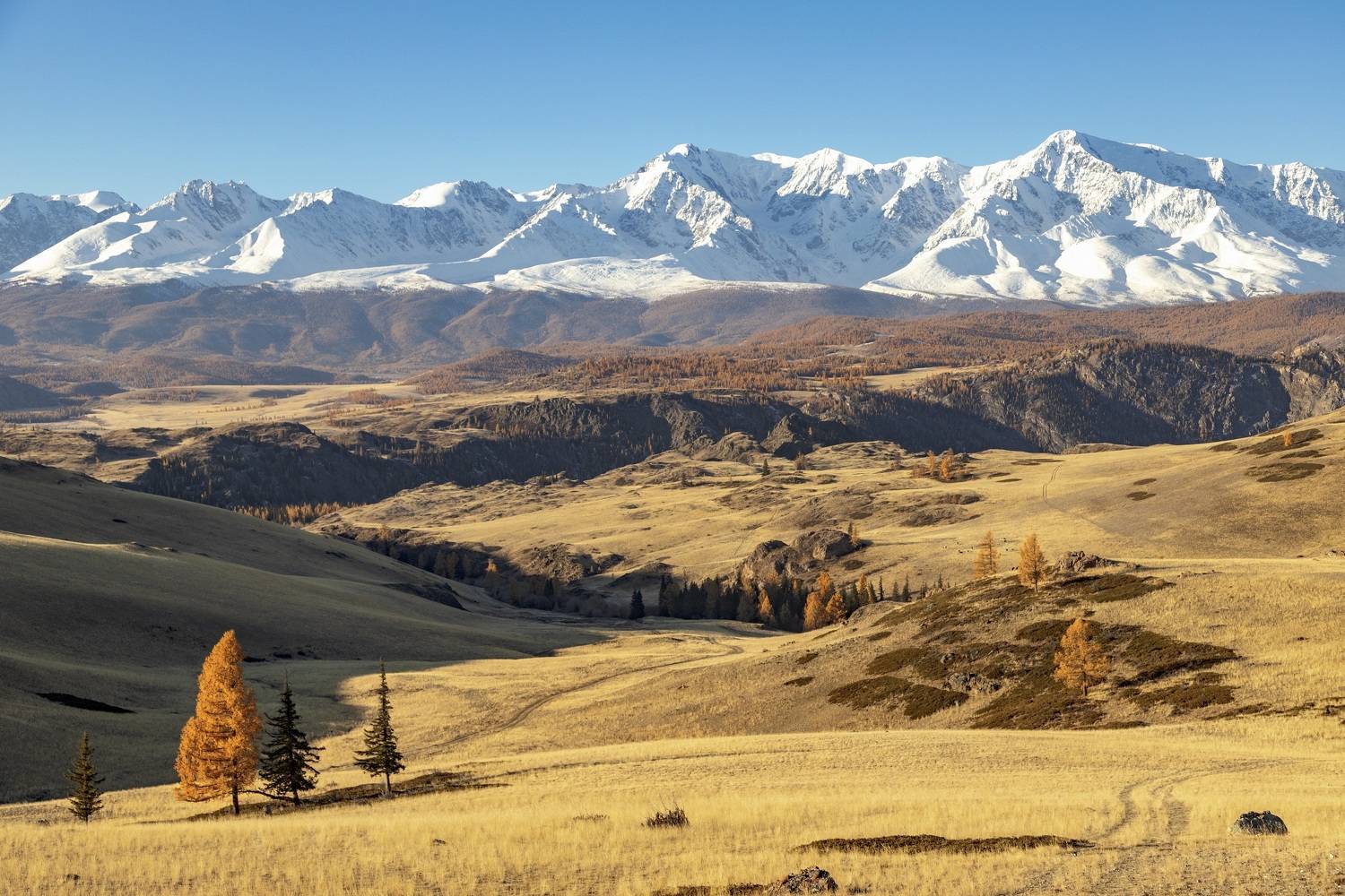 , Каверин Владимир