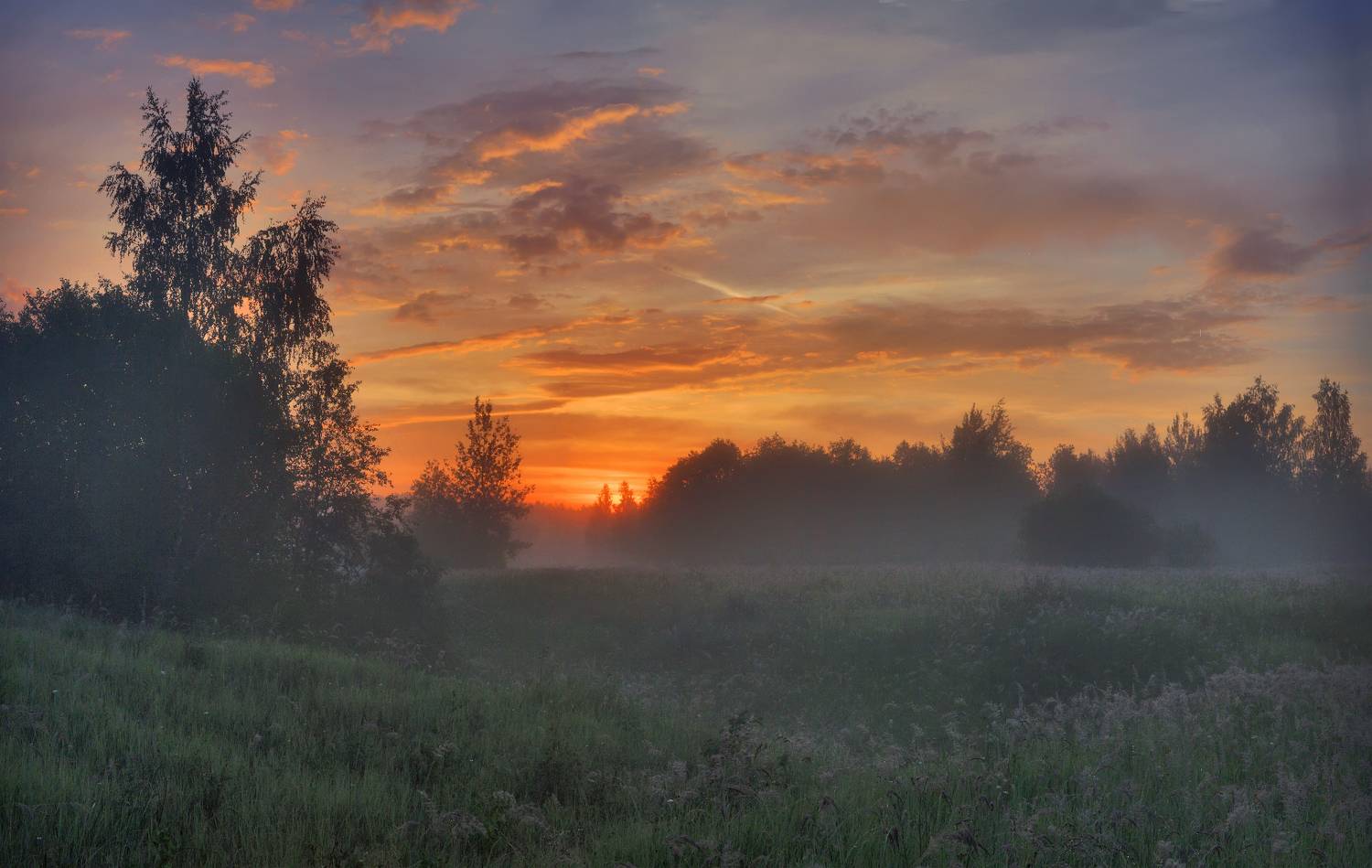 утро, лес, рассвет, Александр Свистков