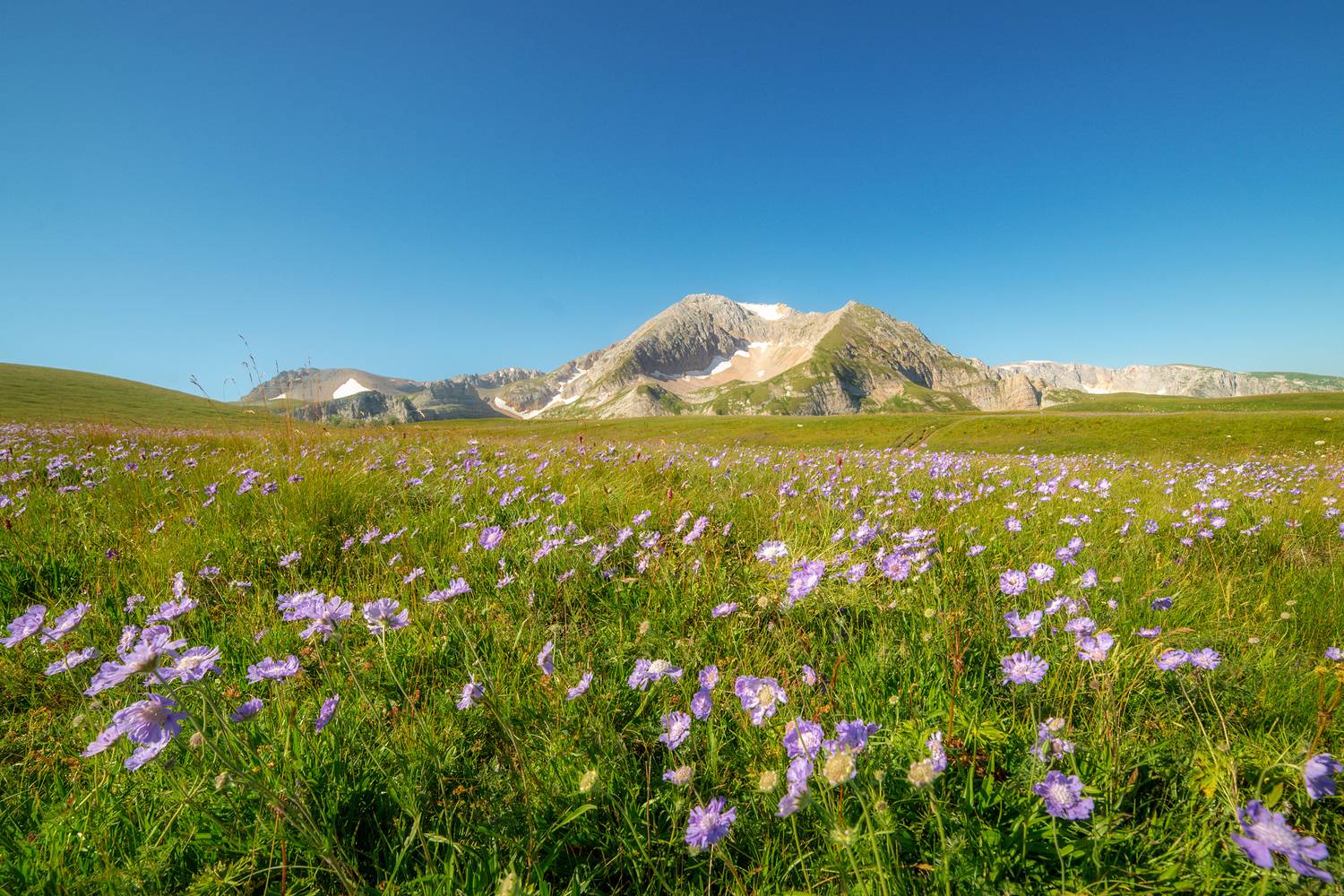 , Сергей Тихомиров
