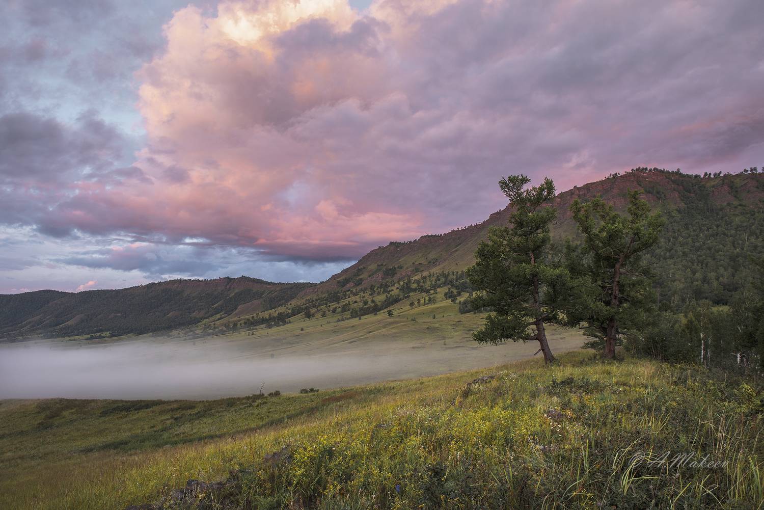 хакасия, Александр Макеев