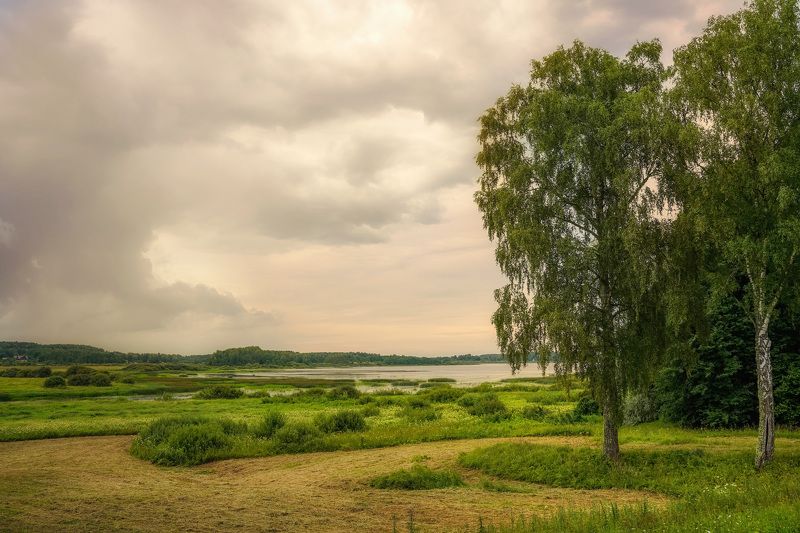 Пушкинские горы фото превью