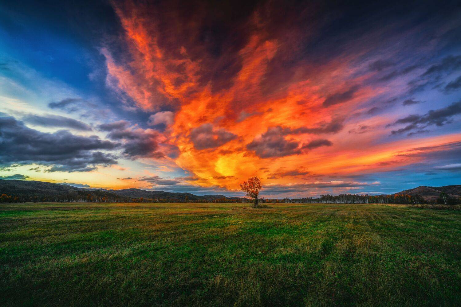 , Nikitin Alexander