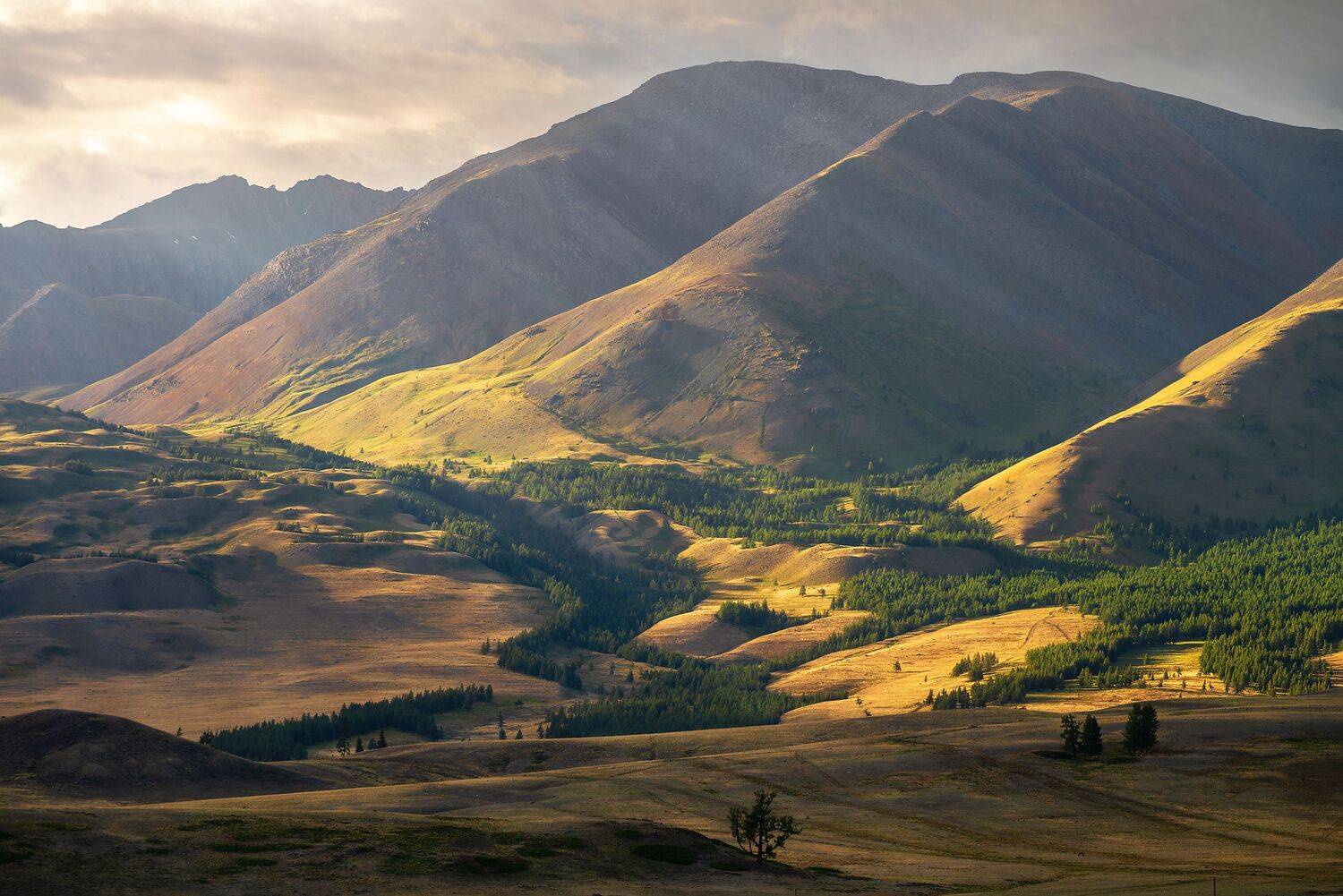 , Николай Колобов