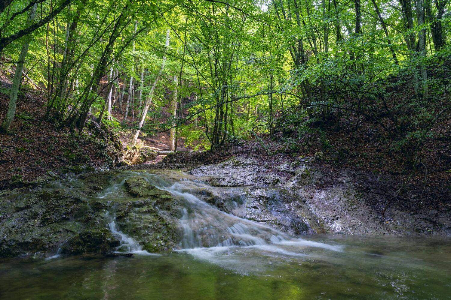 , Юлия Мальцева