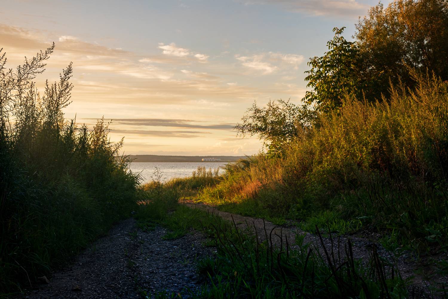, Константин Костин
