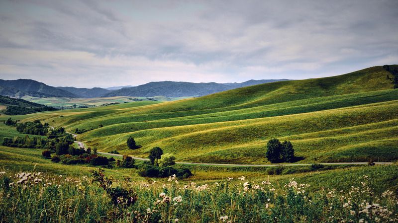 алтай, холмы, Стиральная доска Алтая фото превью