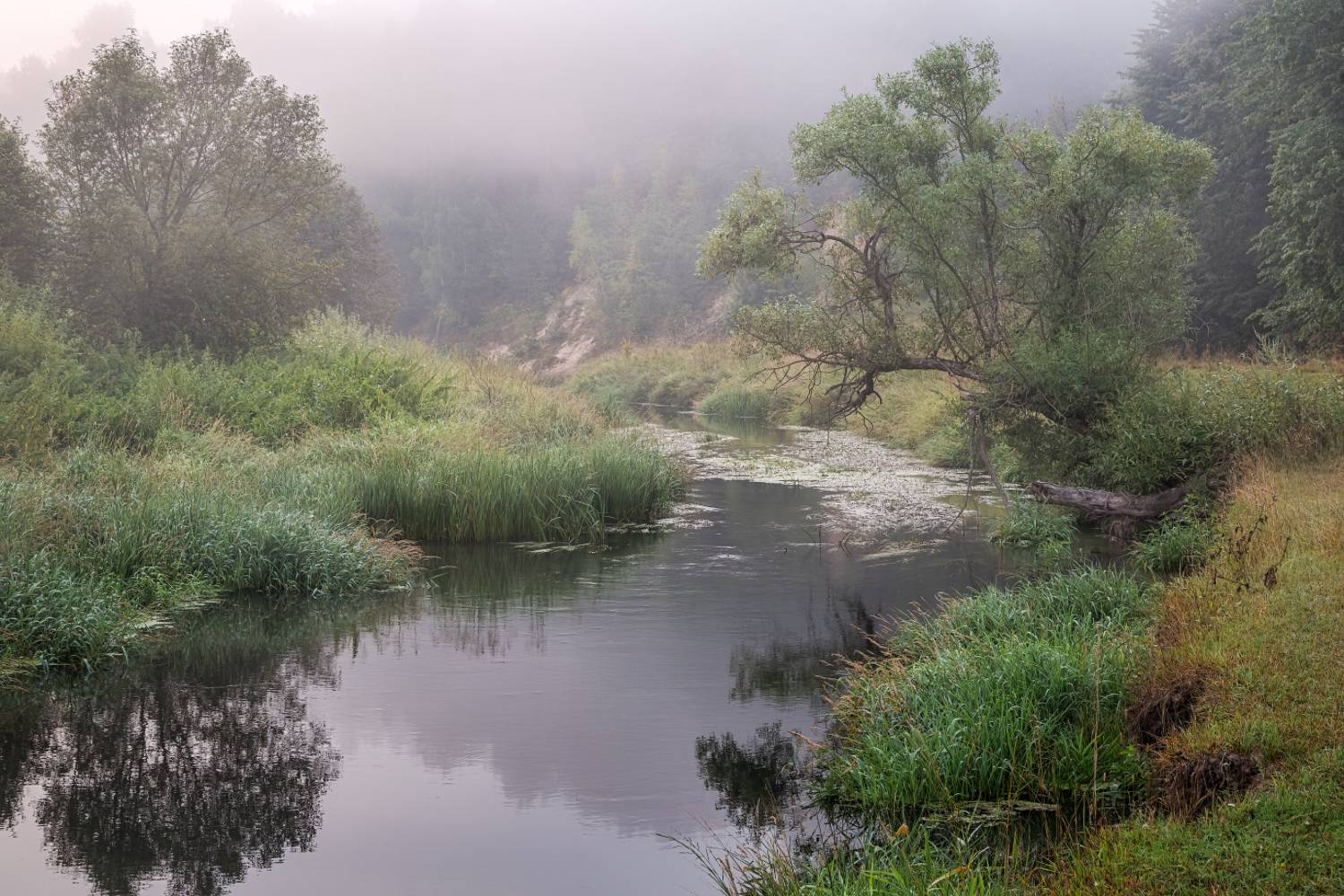 , Евгений Ерохин