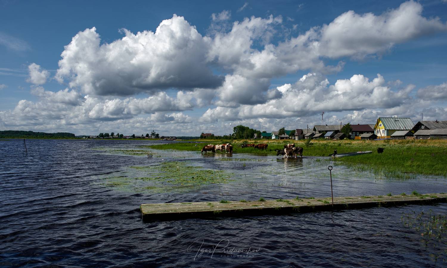 , Игорь Приданников