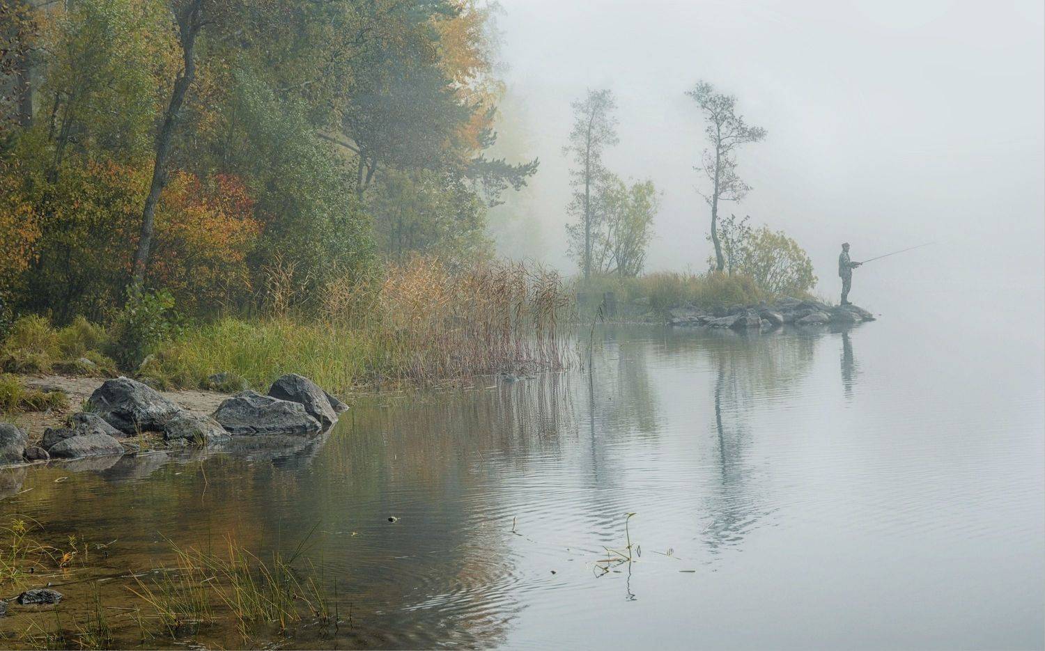 озеро деревья камни рыбак туман, Вера Петри