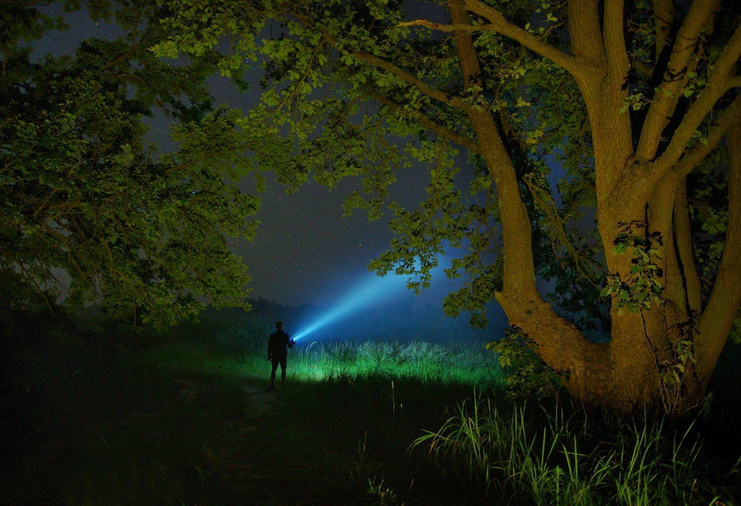 , Сергей Шляга