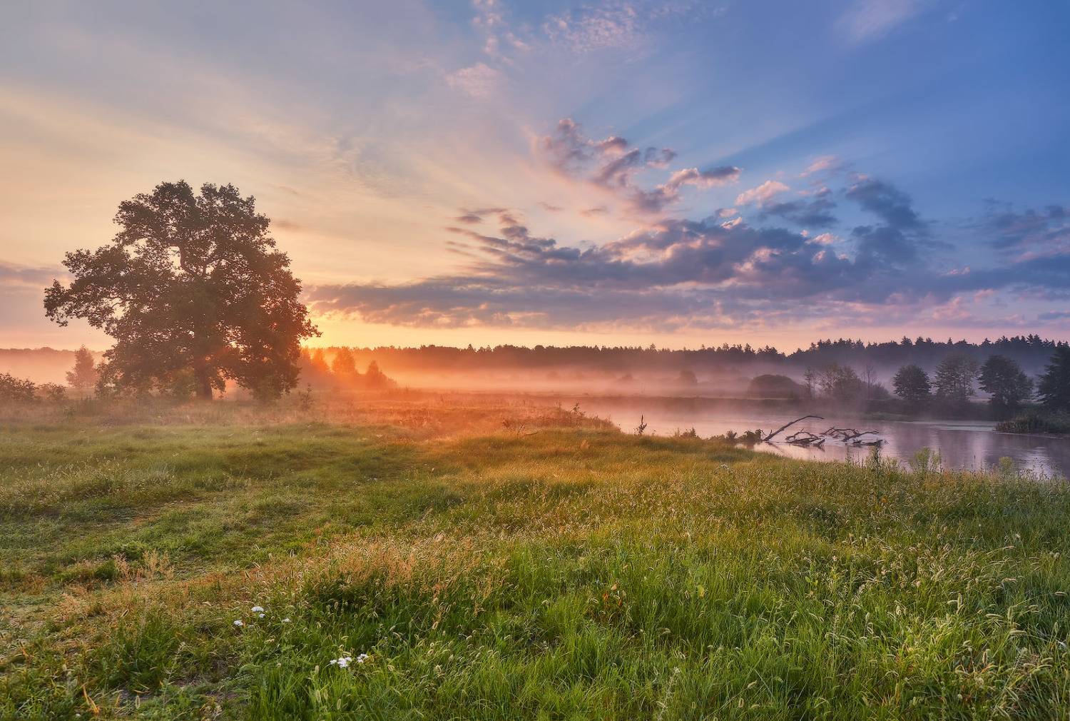 август, беларусь, лето, луга, облака, рассвет, река, свислочь, туман, утро, Вейзе Максим