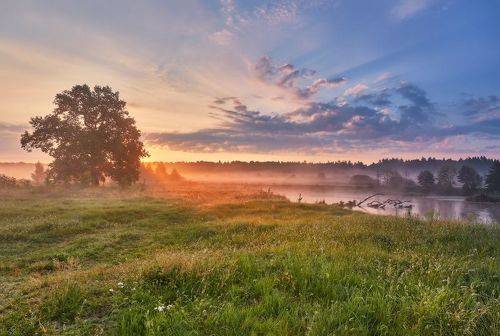 Утро после жаркого дня