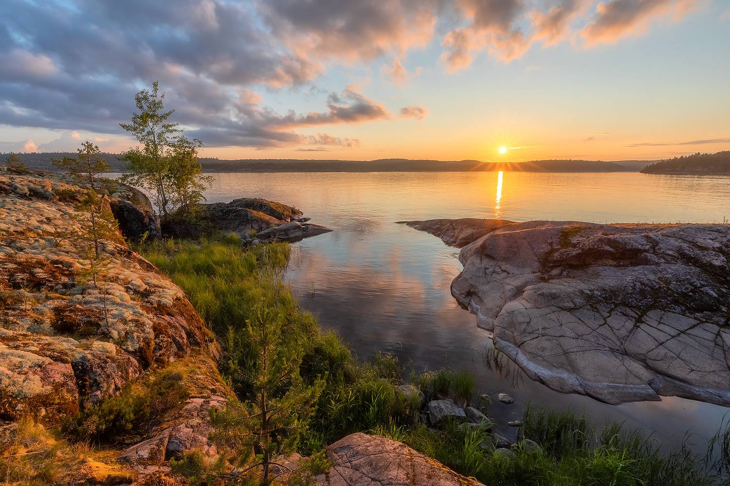 , Александр Пашеничев