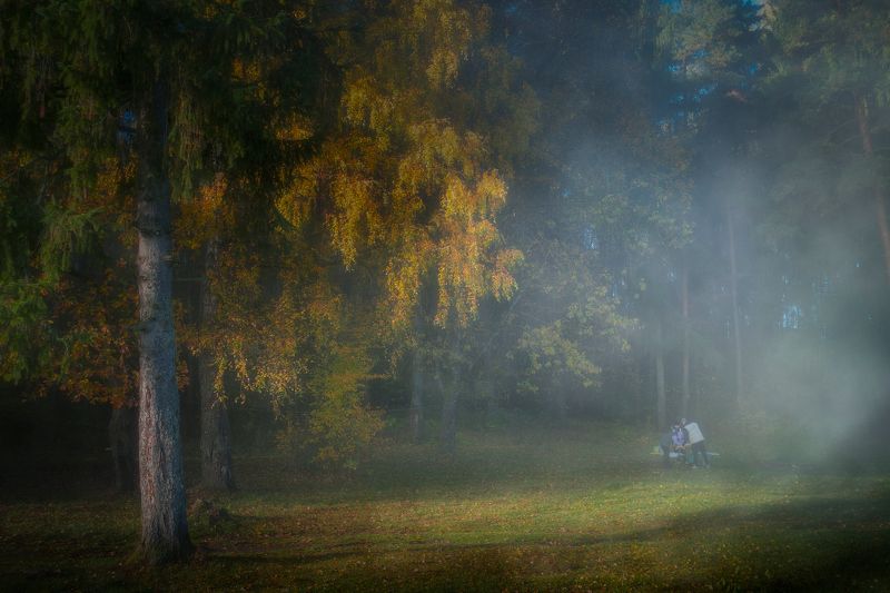 Завтрак в лесу фото превью
