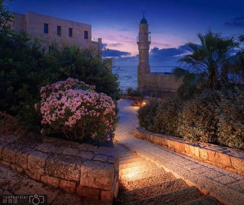 Tel Aviv, Israel, Jaffa, Yafo, sea, cityscape, urban, night Jaffa, Tel Aviv фото превью