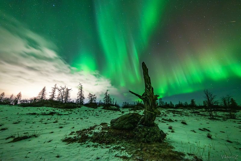 северное сияние, полярное сияние, заполярье, aurora borealis, polar lights  фото превью
