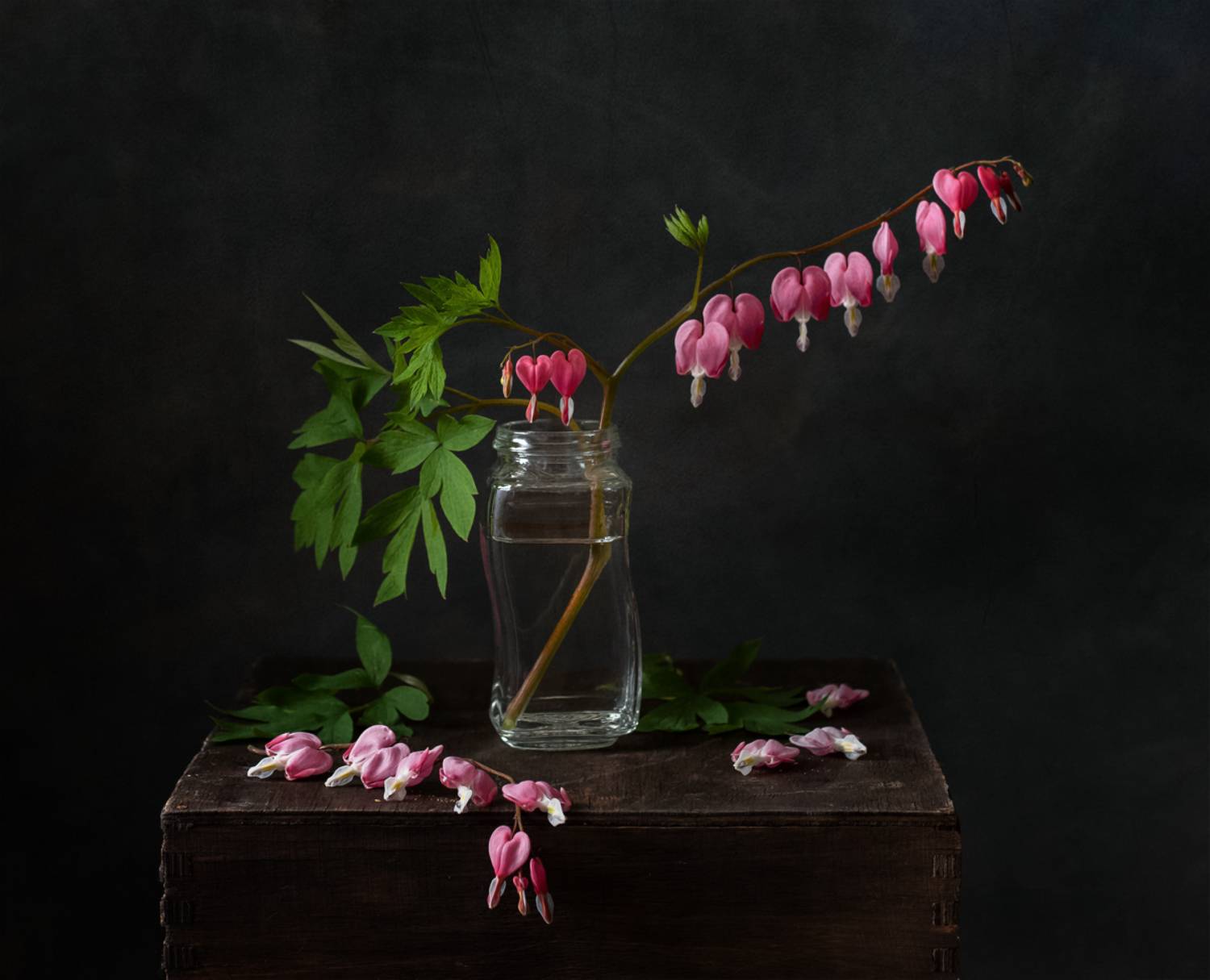 натюрморт, цветы, Оля