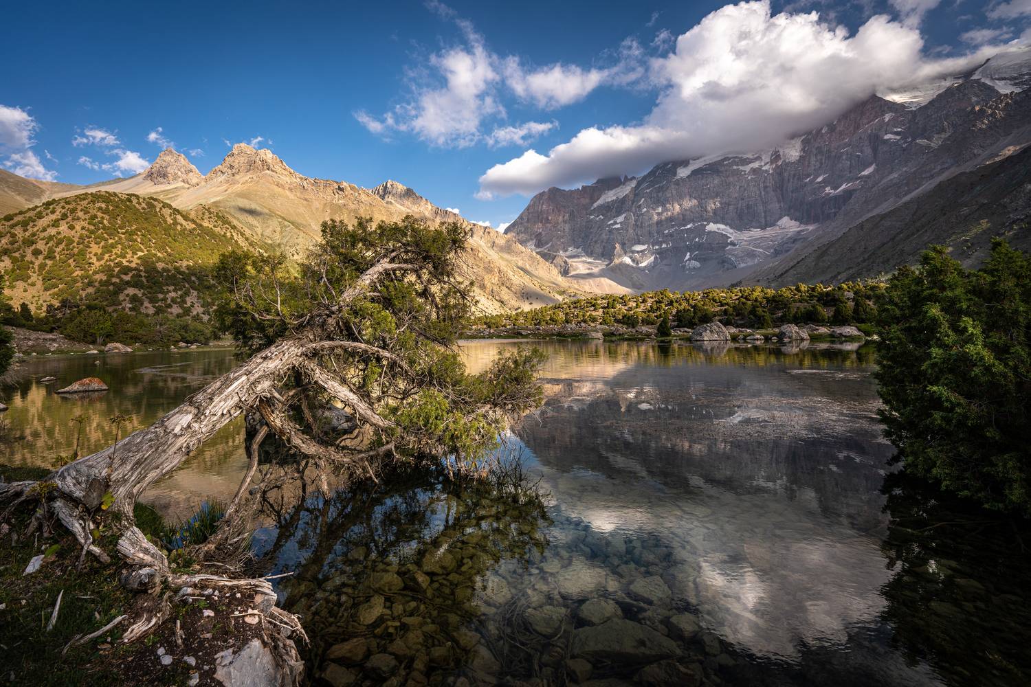 , Ганюшкин Владимир