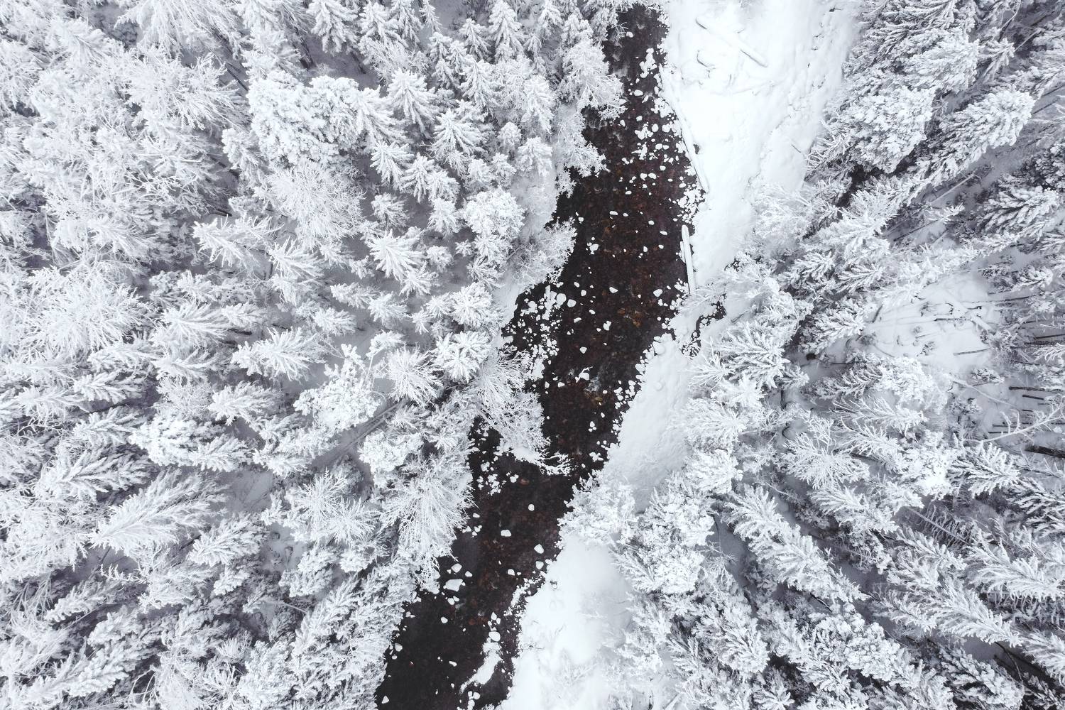 зима, деревья, снег, аэрофото, домбай, Рябинин Влад