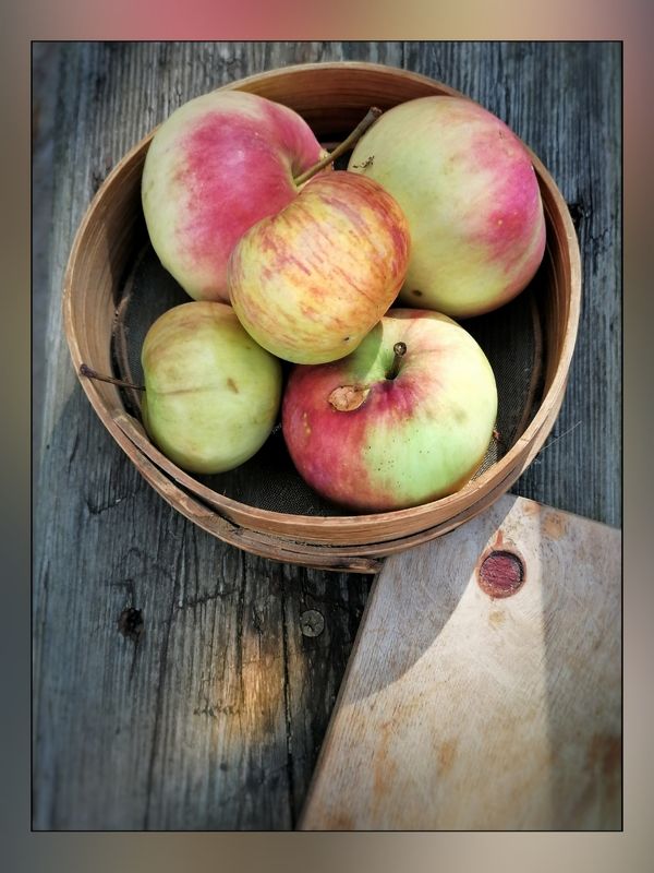 Дачные яблочки!  фото превью