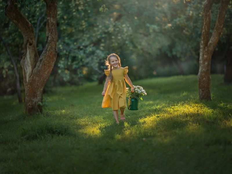 Ромашки фото превью