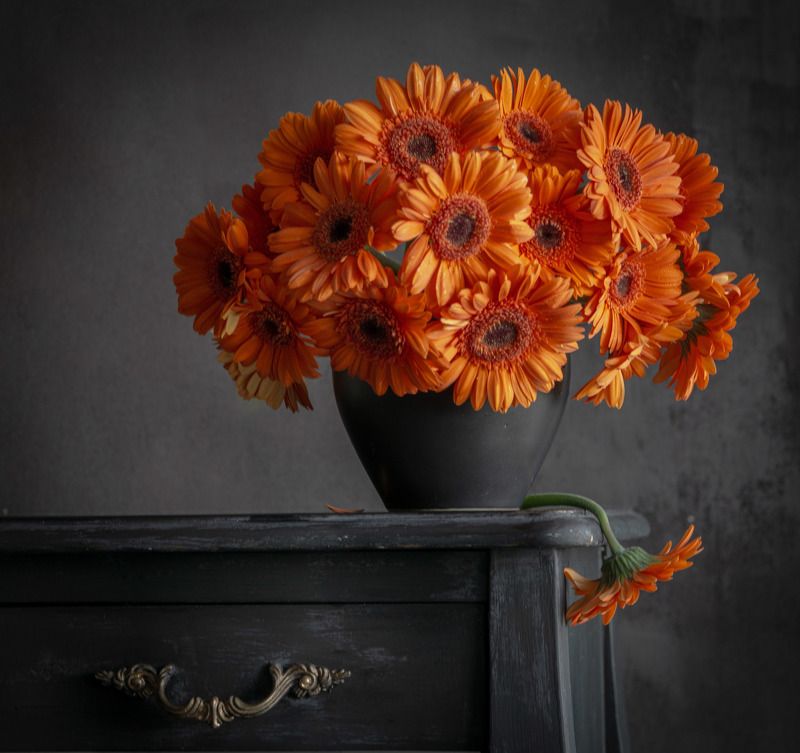 Огоньки / гербера фото превью