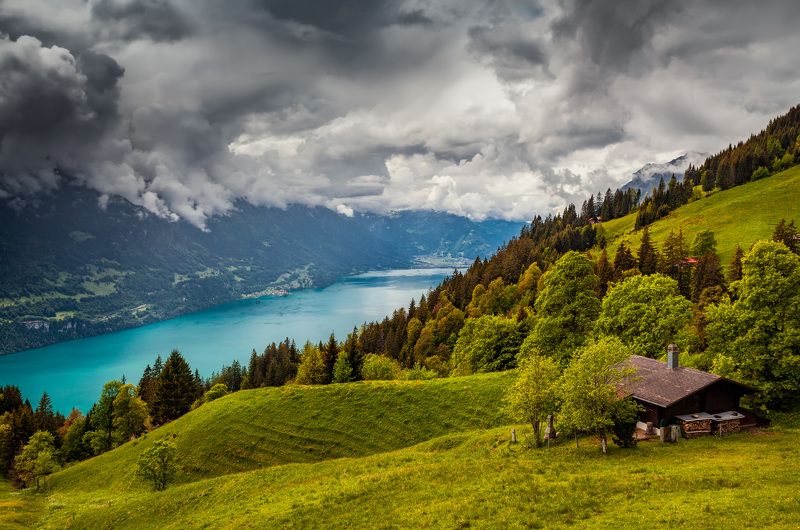 = фото превью